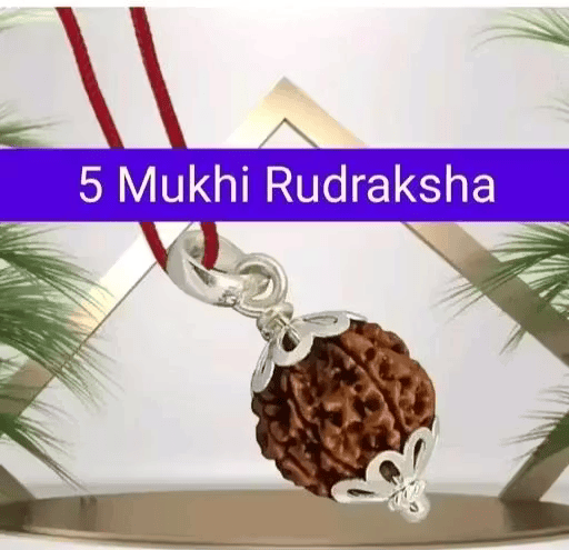 Original 5 Mukhi Nepali Rudraksha Bead Locket – Panchmukhi Rudraksha Dana for Puja & Daily Wear Bhavishyavani