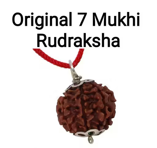 Original 7 Mukhi Nepali Rudraksha Bead Locket – Panchmukhi Rudraksha Dana for Puja & Daily Wear Bhavishyavani